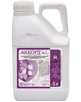 Фунгіцид Аккорд Нертус (гідроксид міді 150 сірка 300) 5л. agr_000058 фото