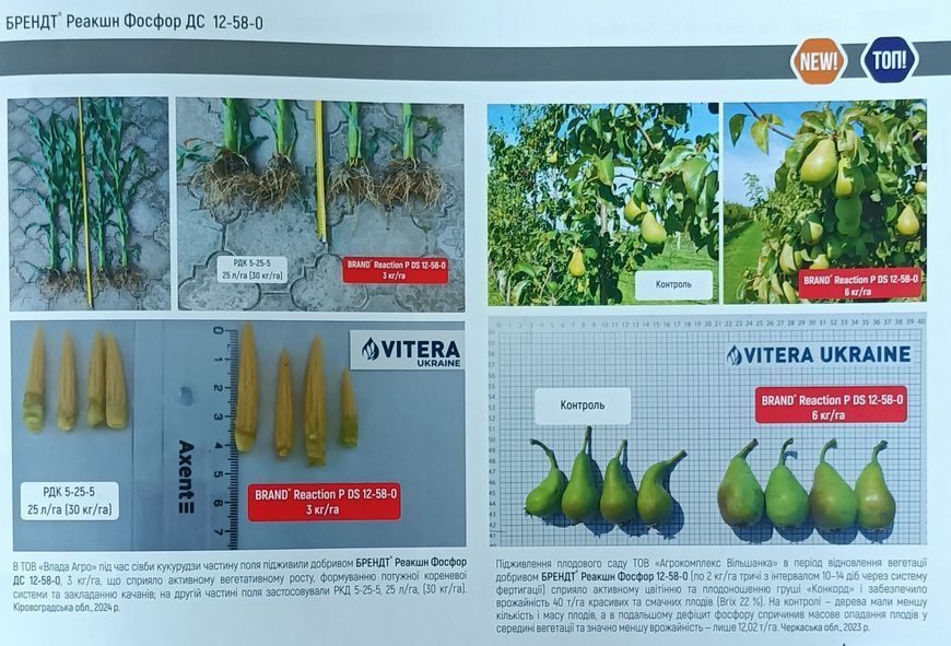 Мікродобриво Брендт Реакшн Фосфор Вітера BRANDT (NPK 12:58:0) 1кг. agr_000659 фото