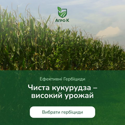 Banner from design