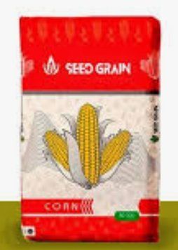 Кукурудза Лоренс Seed Grain (ФАО 260) agr_000612 фото