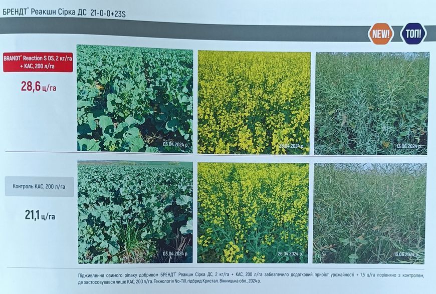 Мікродобриво Брендт Реакшн Сірка Вітера BRANDT (NPK 21:0:0 S03 23) 1кг. agr_000662 фото