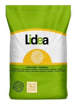 Соняшник ЕС Цейлон СУ Lidea (Експрес) agr_000579 фото